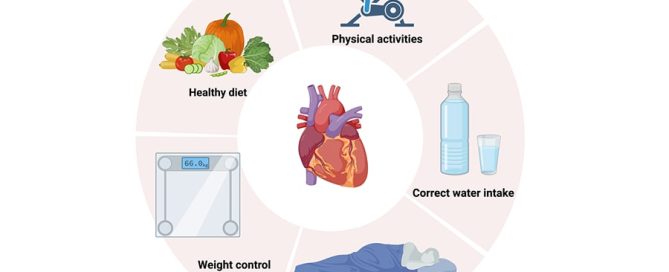 اصول پیشگیری از بیماری ها